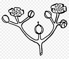 Make your kid color a flower coloring to know the color identification & learn drawing easy. Free Printable Flower Coloring Pages Kids Flower Coloring Flower Free Transparent Png Clipart Images Download