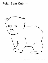 Little Polar Bear Coloring Page Polar Bear Coloring Page Bear Coloring Pages Polar Bear Color