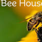 Native Bees & Bee House Building with CEED