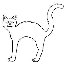 Even though each species has its own distinct looks and characteristics. Top 25 Free Printable Halloween Cat Coloring Pages Online
