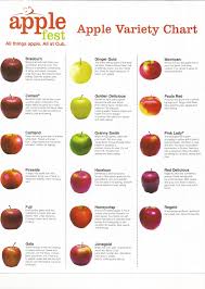 Pin On Veggie Recipes