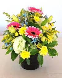 Maybe you would like to learn more about one of these? Posie Bowl In Ceramic Pot The Flower Shop