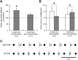Usually considered a pathological reflex in a clinical setting, the hoffmann's reflex has also been used as a measure of spinal reflex processing in response to exercise training. Operant Conditioning Of A Spinal Reflex Can Improve Locomotion After Spinal Cord Injury In Humans Journal Of Neuroscience
