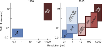 Maybe you would like to learn more about one of these? Correlated Light And Electron Microscopy Ultrastructure Lights Up Nature Methods