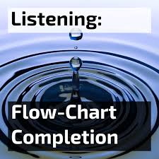 ielts listening flow chart completion questions 8902 ace