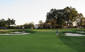 Smyers, asgca, the south golf course opened in 2008. Pure Championship Golf Olympia Fields The Fried Egg