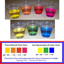 Phenol Red Color Chart Related Keywords Suggestions