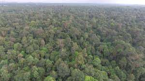 Applikasi ini digunakan untuk menentukan samada lokasi pengguna didalam hutan simpan kekal atau tidak berdasarkan gps koordinat telefon mudah alih anda. Cyberjaya Info On Twitter Cadangan Pemansuhan 930 Hektar Hutan Simpan Kekal Kuala Langat Utara Untuk Tujuan Pembangunan Bercampur Merupakan Penempatan Orang Asli Sejak 1886 Dan Habitat Hidupan Liar Ekosistem Dan Biodiversiti Akan