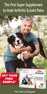 The first step for how to get your puppy to stop biting is to inhibit the behavior. Pin On Dogs