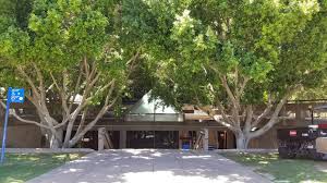 Maybe you would like to learn more about one of these? 4 Massive Ficus Trees Surrounding Tempe City Hall To Be Removed