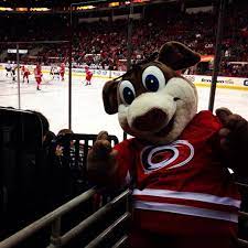 Shop carolina hurricanes apparel and gear at fansedge.com. Stormy Carolina Hurricanes Sportsmascots Wikia Fandom