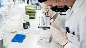 Cette multiplication s'accompagne de quelques « modifications » du génome, encore appelées mutations. Variant Anglais Quels Sont Les Pays Plus Ou Moins Epargnes Jusque La Lci