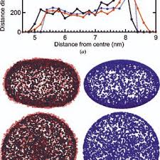 Spherical average profile of an aDAM, which was computed from the...