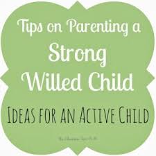 Find the best of on tv from hgtv don't forget about the pillows during your next cleaning spree. Parenting The Educators Spin On It