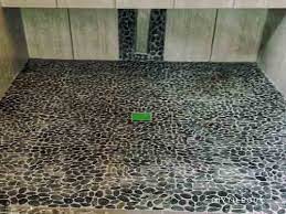 A black area on shower floors typically indicates the growth of black mold. Miserable Pebble Tile Flooring Diytileguy
