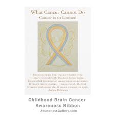 We would like to raise awareness and highlight mesothelioma. Gold And Gray Childhood Brain Cancer Awareness Ribbon Soft Fleece And Throw Blankets Awareness Gallery Art