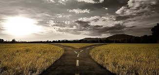 Check spelling or type a new query. A Fork In The Road To Break Free From The Spell Or Go Deeper Into The Illusion