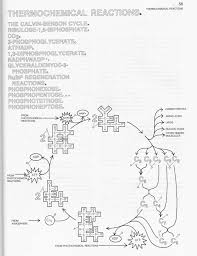 Types of chemical reactions pogil revised. Types Of Chemical Reactions Pogil Answers Types Of Chemical Reactions Packet Hw 0 Types Of Chemical Reactions Do Atoms Rearrange In Predictable Patterns During Chemical Reamons Why Recognizing Course Hero