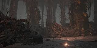 Dark Souls Lands - Ash Lake Lore - Youtube