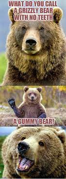 Bad Pun Bear Imgflip