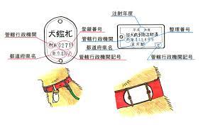 犬を飼い始めたら | 東京都動物愛護相談センター ワンニャンとうきょう