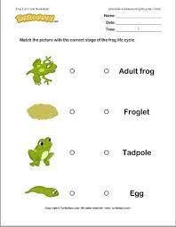 Learn about life cycle frog 1 with the help of this worksheet. Pin By Ready Teacher On Kinderland Collaborative Lifecycle Of A Frog Life Cycles Kindergarten Science