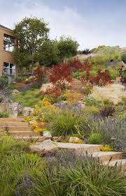 2013 Apld International Landscape Design Awards Garden Design Landscape Projects Hillside Landscaping Landscape Design