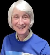 Conflict Owner's Manual