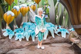 Periwinkle At Disney Character Central Disney Christmas Tokyo Disneyland Disneyland
