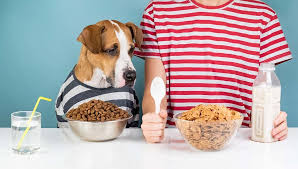 Check spelling or type a new query. What Human Food Can Dogs Eat