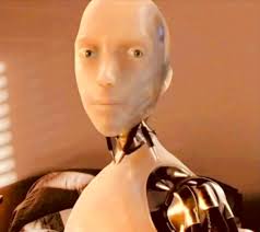 Salma Valceros Contreras