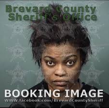 Arrests In Brevard County: February 11, 2024