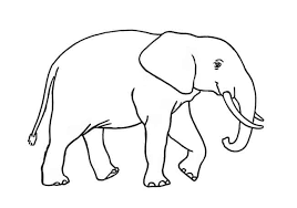 Amazon com kuwoolf colored drawing elephant pattern full diamond. How To Draw An African Elephant Step By Step Easy Animals 2 Draw