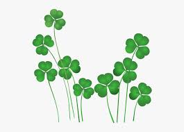 Simple shamrock outline (page 1). Shamrock Outline Png Transparent Png Transparent Png Image Pngitem