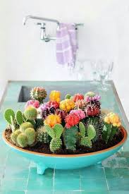 27 Beauty Cactus And Succulent Garden Ideas For Indoor Succulent Garden Indoor Succulent Garden Diy Succulent Garden Design