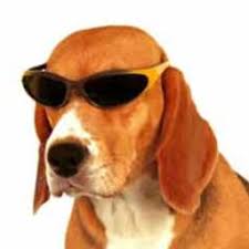 Rateateacher reviews Flashcards