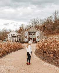 A Local S Monticello Wine Trail Guide 10 Best Wineries In Charlottesville Monticello Wine Trail Wine Trail Charlottesville Wineries