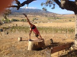 Pin On Week 115 Entries Three Legged Downward Facing Dog Pose