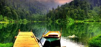 Son dakika artvin haberlerini buradan takip edebilirsiniz. Flights To Artvin Turkish Airlines City Guide