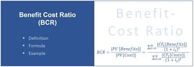 What Is The Benefit Cost Ratio Bcr Definition Formula Example Project Management Info