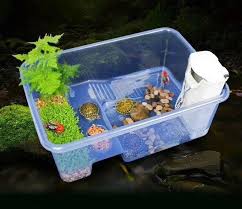 Turtle Fairyland Pier Topper Basking Platform Steps Feed Box Room Uv Light Low Water Filter 3 In 1 Aquarium Fish Tank Basking Platform Turtle Topperwater Turtle In 2020 Turtle Tank Small Turtle Tank