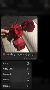 pin by mays on nature cover photo quotes romantic words funny arabic quotes