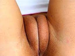 Watch premium and official videos free online. Big Camel Toes Porno Teatroporno Com