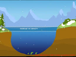Explain Anomalous Expansion Of Water! Properly​ - Brainly.In