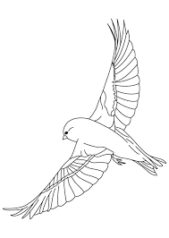 In these page, we also have variety of images available. Bluebird Coloring Page Coloring Home