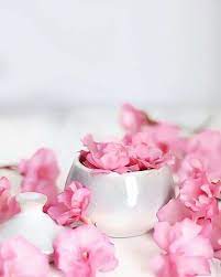 صور و خلفيات جميلة للكتابة عليها 2019 flower background wallpaper print design art flower backgrounds