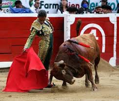 Diario Frontera - Luis Bolívar y Francisco Javier a hombros ante noble  encierro de Campolargo