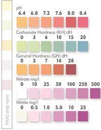 Tetra Easy Strips Chart - Bastik