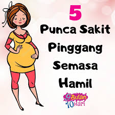 Gambar kartun tangan dicat ibu hamil hari ibu kartun hangat reka bentuk ilustrasi png dan vektor untuk muat turun percuma. 9bulan10hari 5 Punca Sakit Pinggang Semasa Hamil Papa Facebook