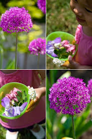 Maybe you would like to learn more about one of these? Pup Academy Pom Pom Cheerleading Novocom Top